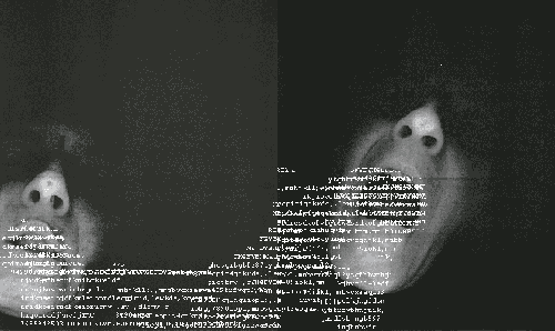 photocopies of my mouths with text 